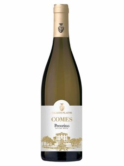 Saladini Pilastri Comes_WInes Unlimited