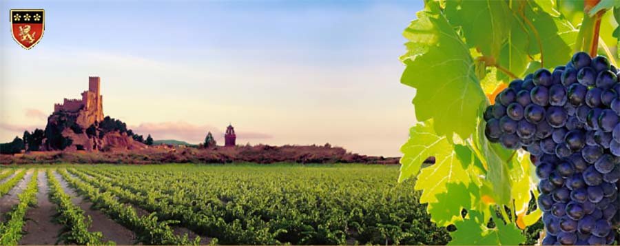 Bodegas-Piqueras