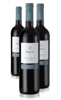 Idaia Ghi red